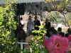Gardens Wedding